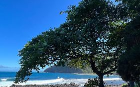 Le Liseron Creole - Entre Terre, Mer Et Riviere - Proche Toutes Commodites