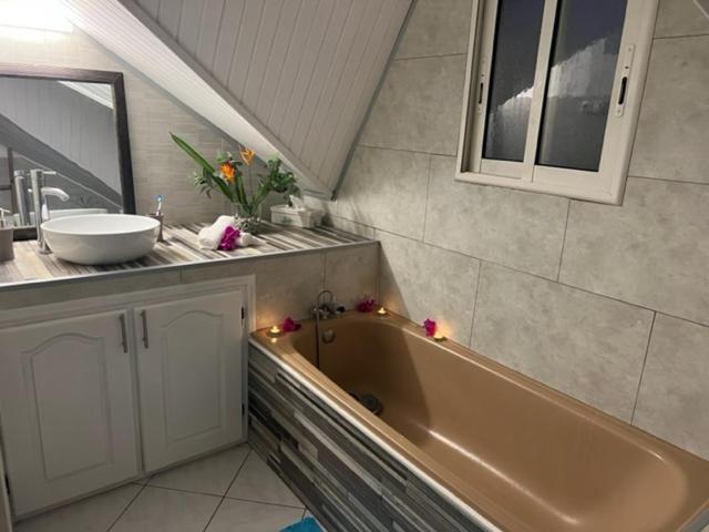 Le Liseron Creole - Entre Terre, Mer Et Riviere - Proche Toutes Commodites سانت-جوزيف المظهر الخارجي الصورة
